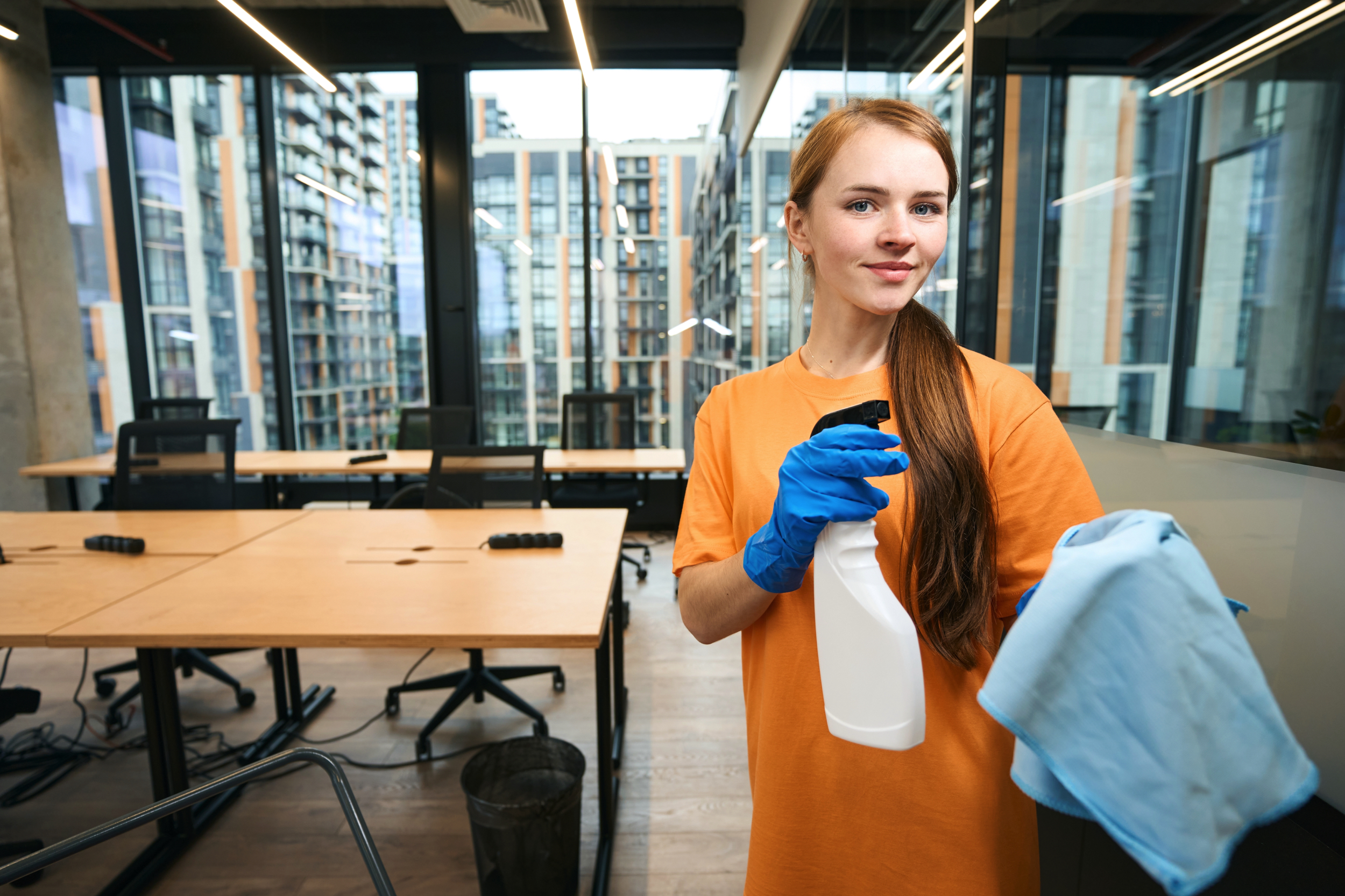 Professional cleaning services in Parramatta