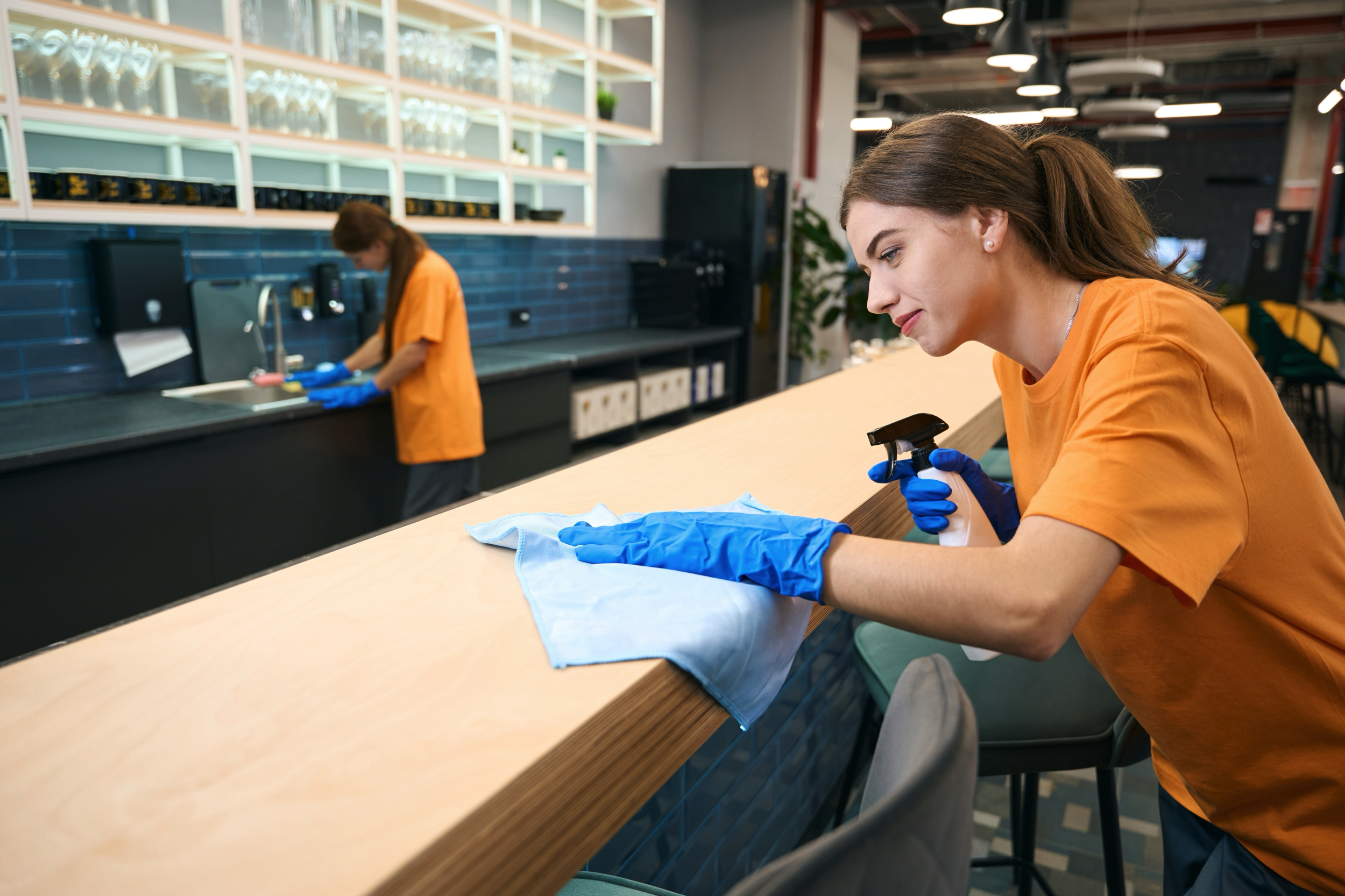 Commercial Cleaning Professional Service
